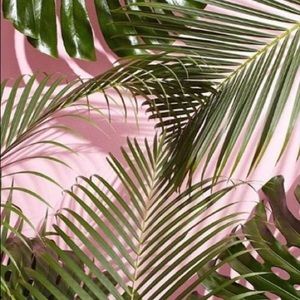 Meet your Posher, Maddie